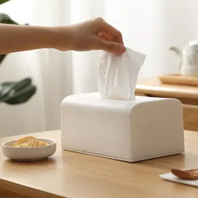 Modern White Rectangular Tissue Box for Living Room & Desk