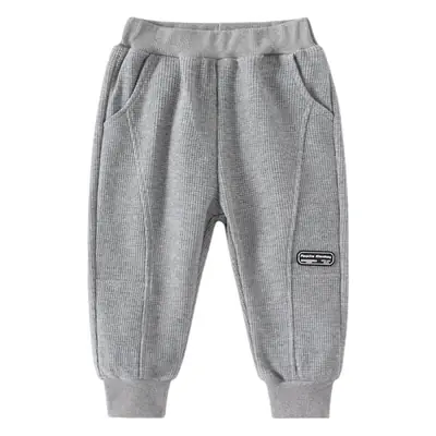 Boys Grey Sweatpants 2024 New Label Loose Elastic