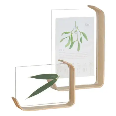2024 Desk Calendar Casual Desktop Ornament Calendar Creative Double-Sided Acrylic 68inch Plant Specimen Photo Frame Wholesale