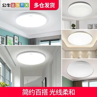 Bull LED Ceiling Light 7 Styles 3 Color Warm