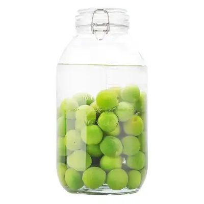 Glass Jar with Clasp Lid for Fruit Storage 15cm