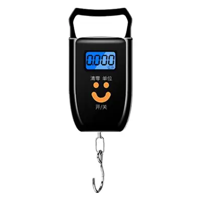 Portable 50kg Electronic Weight Scale with Keychain
