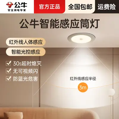 75mm Bull Eye Induction LED Light for Home Living Room