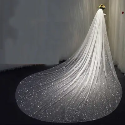 Silver Sequin Lace Veil Headdress for Long Wedding Dress