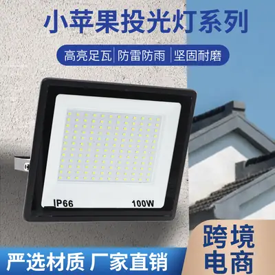 100W Small Apple Outdoor Waterproof LED Flood Light