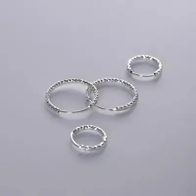 S925 Silver Niche Earrings for Women