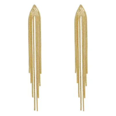 Geometric Metal Earrings for Women Long Tassel Design