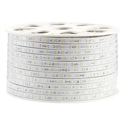 LED Ceiling Light Strip 220V High Voltage Living Room
