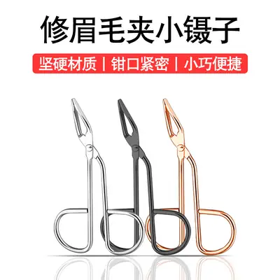 Stainless Steel Eyebrow Clip & Curler Set