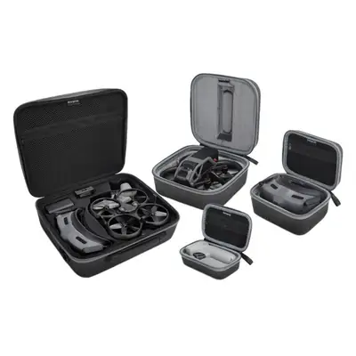 DJI Flight Glasses with 4 Fans & Remote Control