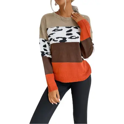 Leopard Print Long Sleeve Pullover Sweater for Women