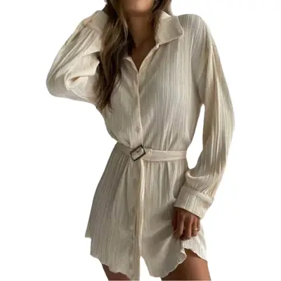 Black Pleated V-Neck Shirt Dress with Belt