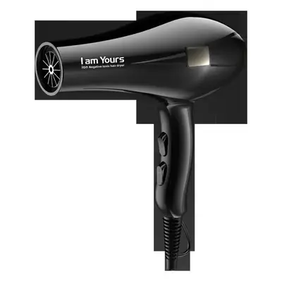 Yongri 39s Dry Hair Dryer with Negative Ion Technology