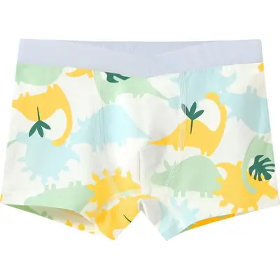 V-Shaped Boxers for Boys Pure Cotton Bear Print