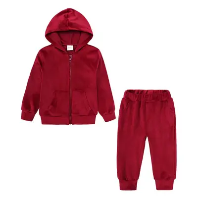 Gold Velvet Kids Suit Hooded Trousers Set for Girls