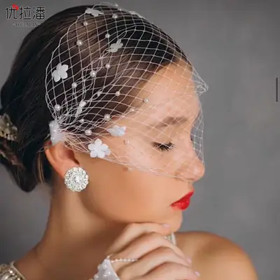 Double Hair Comb with Mesh Veil for Bridal & Party Wear