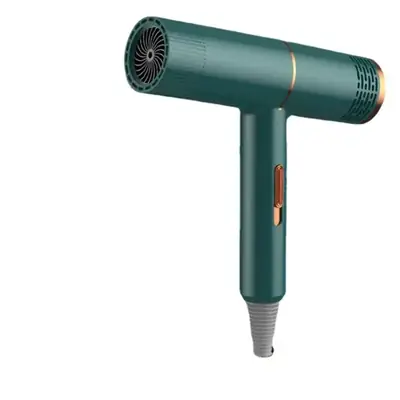 Shake Tone Hair Dryer 59s Speed Salon Style