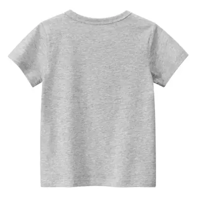 Kids Dinosaur T-Shirt Grey Short Sleeve 2026
