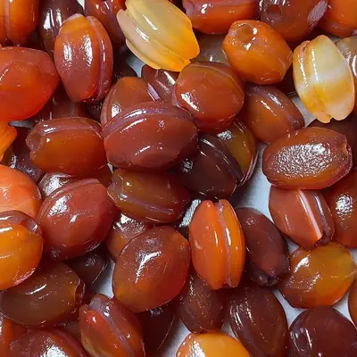 Natural Red Agate Turtle Shell Beads Deep Red Basalt