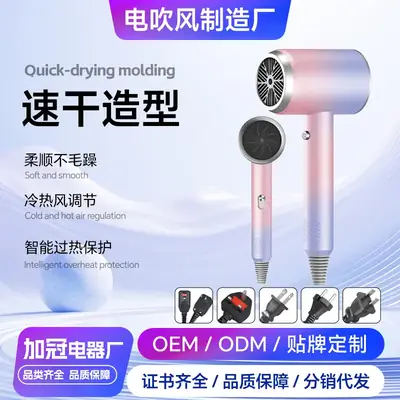 High-Speed Hair Dryer with Blue Light & Negative Ion Technology