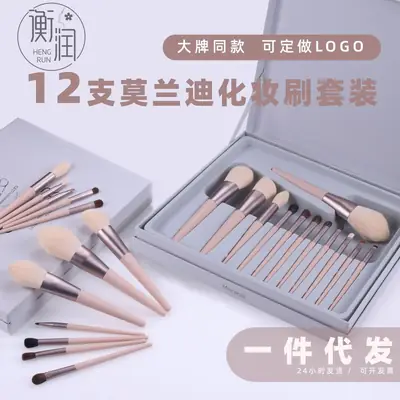 12-Piece Makeup Brush Set Soft Animal Hair for Blush & Concealer
