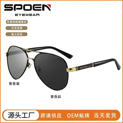 2025 Polarized Sunglasses Retro Metal Large Frame Toad Mirror Men's Driving Color Changing Sunglasses Anti-UV