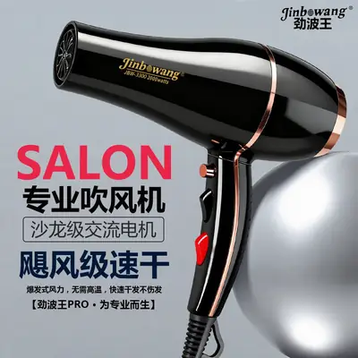 Professional Hair Dryer with Negative Ion Technology