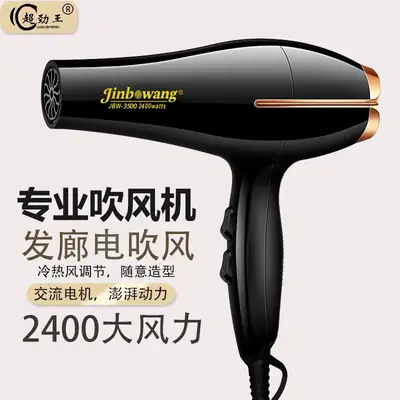 Jinbo Wang 30sec Dry Hair Dryer Salon Grade Black