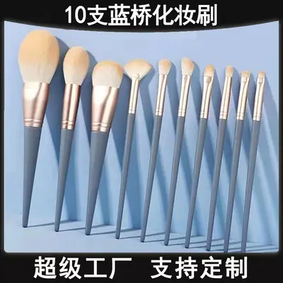10-Piece Makeup Brush Set for Blush, Concealer, Eye Shadow & Contour