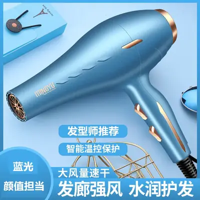 Electric Hair Dryer Blue High Wind Speed Dryer