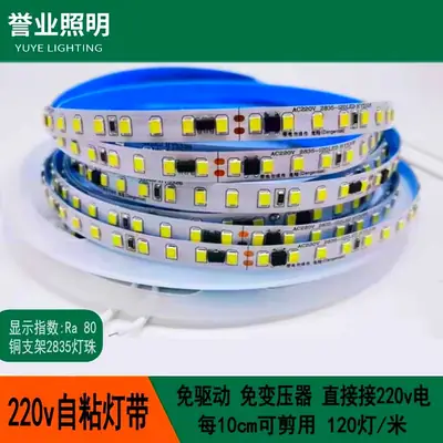 220V LED Strip 10cm Waterproof 1200lm