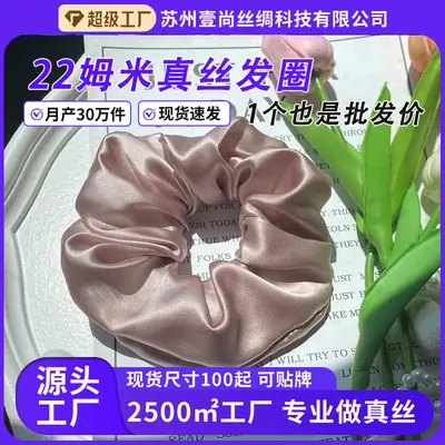 22mm Silk Hair Ties 6cm Large Mulberry Silk