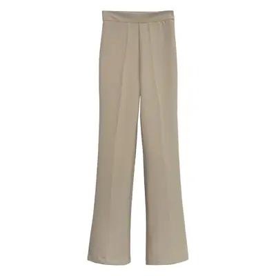 Korean Style Leg Long High Waist Micro La Trousers