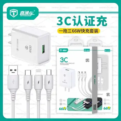 3C 66W Fast Charging Through Train Charger