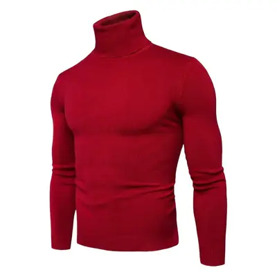 Men Navy Turtleneck Long Sleeve Sweater