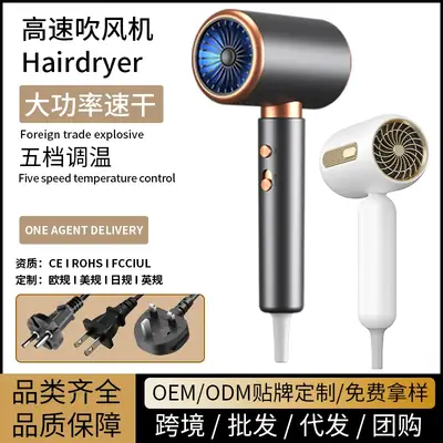 High Power Hair Dryer with Blue Light & 5 Speed Control