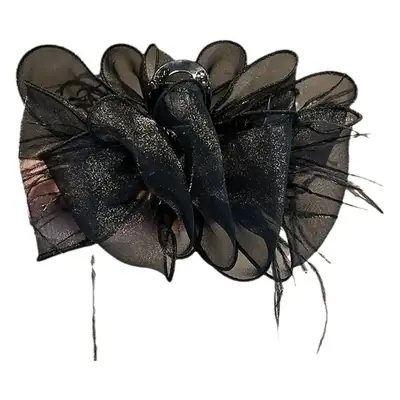 Black Feather Bubble Hair Clip for Women