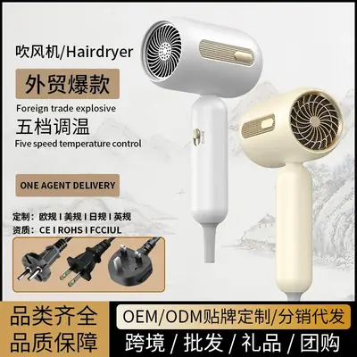 1900W Hair Dryer with EU Plug