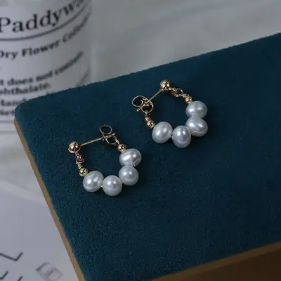 New Niche Pearl Earrings Fashion Luxury Wholesale