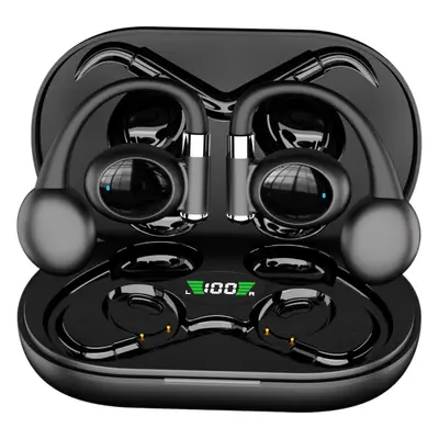 Wireless Bluetooth Earphones with Translation & Voice Assistant