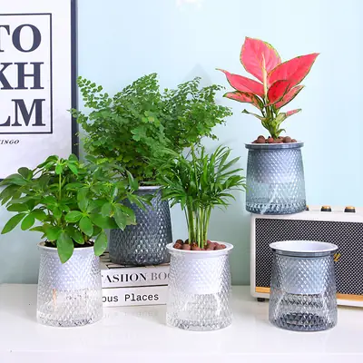 Water-free Internet celebrity new automatic absorbent lazy Basin light luxury lazy plastic flower arrangement Nordic style hydroponic flower pot