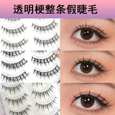 Transparent Terrier False Eyelashes 5 Pairs Natural Style