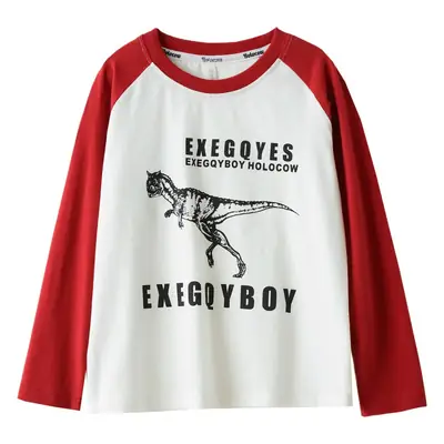 170x Boys Cotton Dinosaur Sweatshirt White Blue