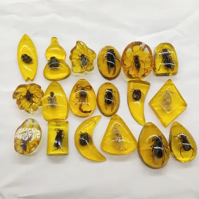 Antique Amber Blind Box Real Insect Pendant