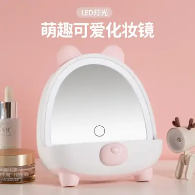 LED Makeup Mirror with Lamp for Women