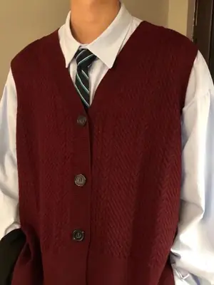 Vintage Knitted V-Neck Vest Men's Winter Fat Handsome