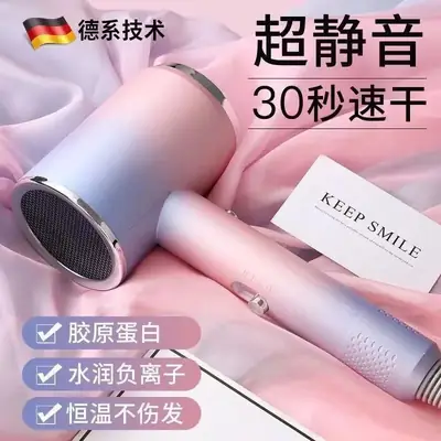 High Power Hair Dryer for Salon & Home Use