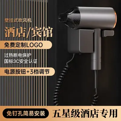 Wall-Mounted Hair Dryer with Corded Power