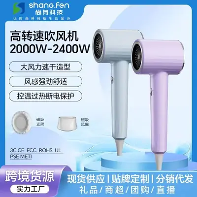 High Speed Hair Dryer 2000W Purple