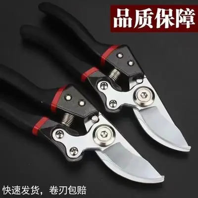 Gardening Scissors Wholesale, Fruit Tree Pruning Shears, Branch Pruning Tools for Garden Thick Branches, Floral Arranging, Fruit Picking, and Seedling Care